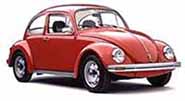 Late Beetle